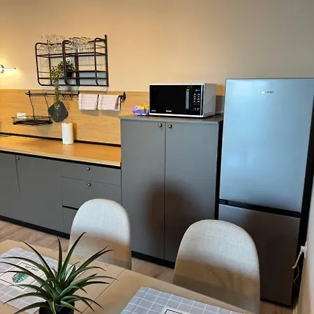 Apartament ипанемма с 1 спальней